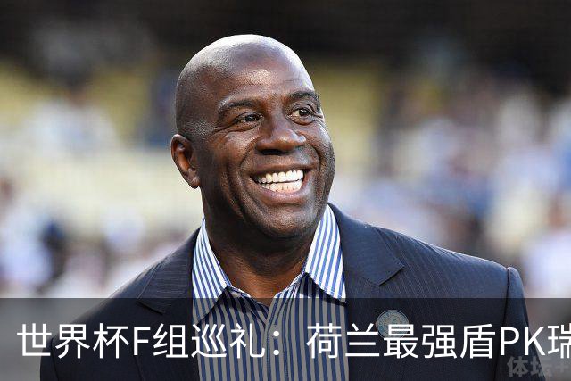 世界杯F组巡礼：荷兰最强盾PK瑞典犀利刀 日本短板明显